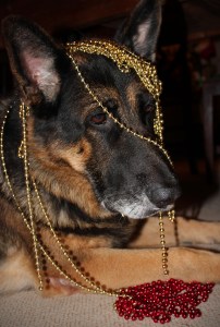 Basil decorates himself